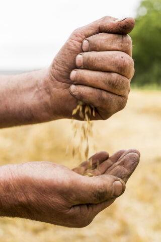 Gerstoogst borrel 2016 20 web